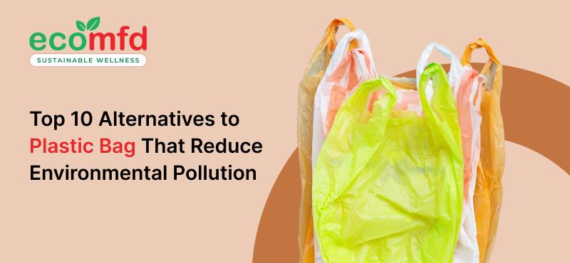 Top 10 Alternatives to Plastic Bag That Reduce Environmental Pollution