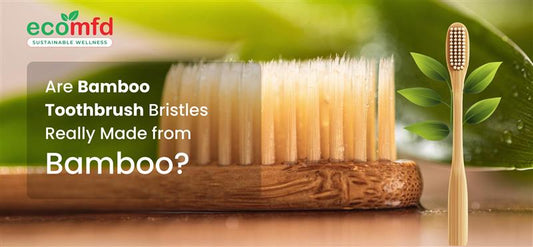 Are Bamboo Toothbrush Bristles Really Made from Bamboo ?