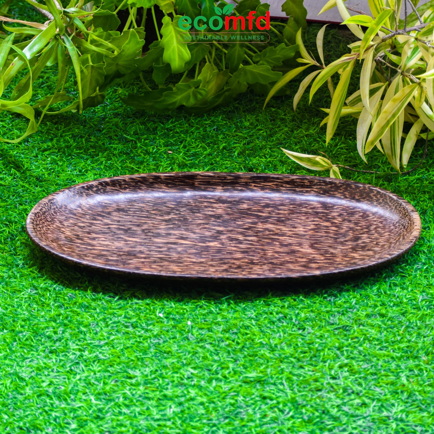 Wooden Big oval Shaped tray