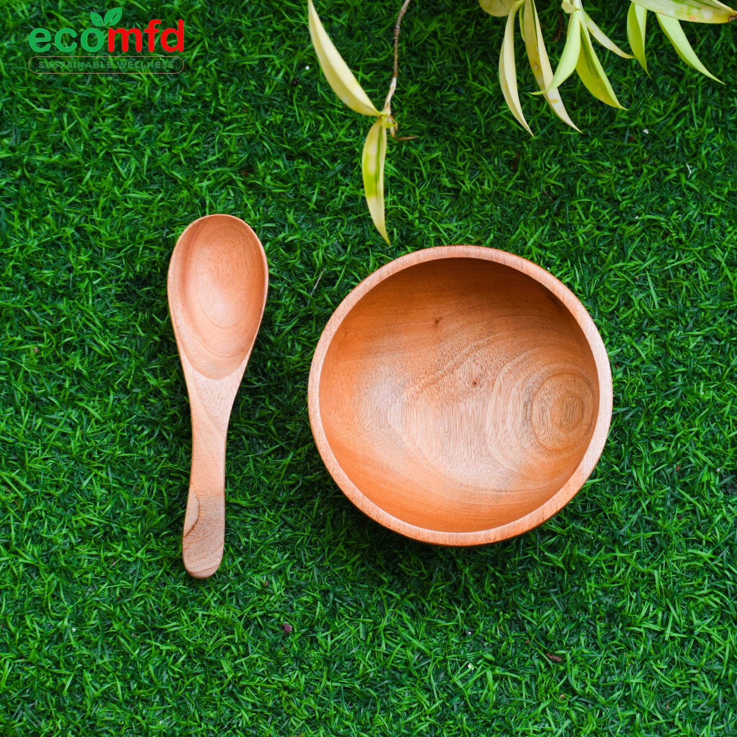 Wooden Soup Bowl with Wooden spoon